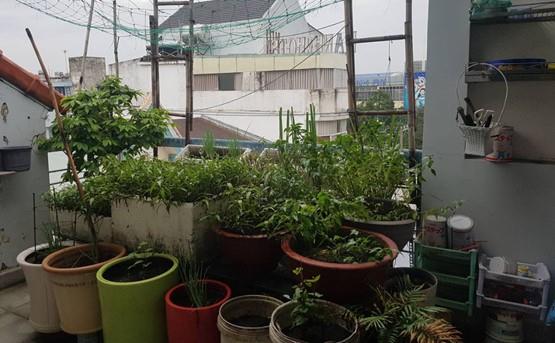 Villa for rent in binh thanh district BT200004 (4)